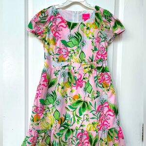 Lilly Pulitzer Pink and Green Floral Kids Dress. New without tags.